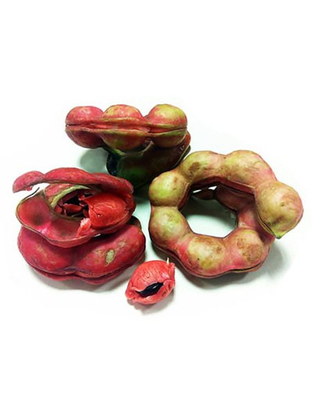 Thai Tamarind Fruits
