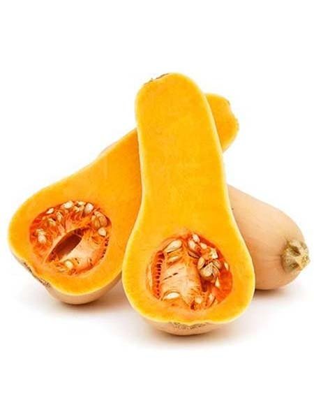 Pumpkin - Butternut