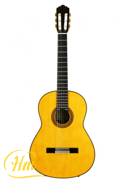 YAMAHA GC22S