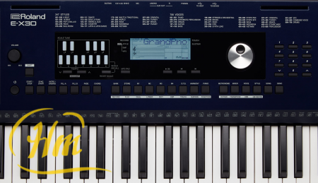ROLAND EX-30