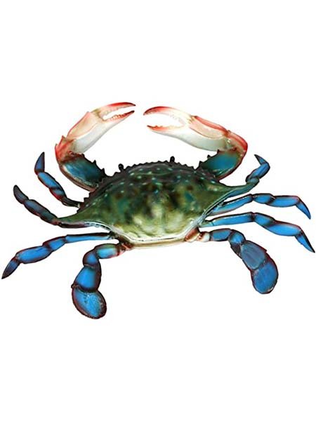 blue crab