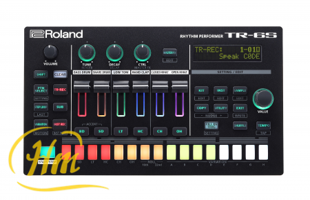 ROLAND TR-6S