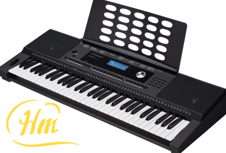ROLAND E-X20A