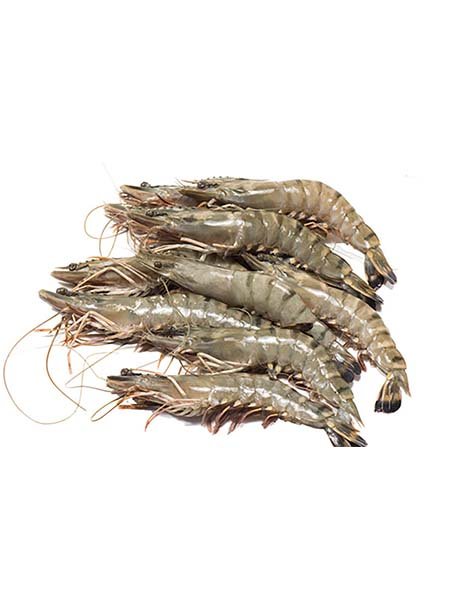 Black Tiger Prawns
