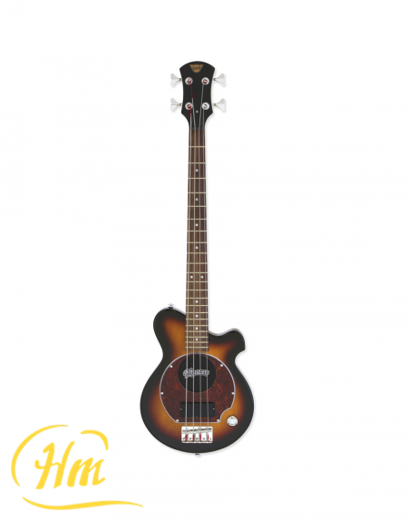 ARIA PGB-200
