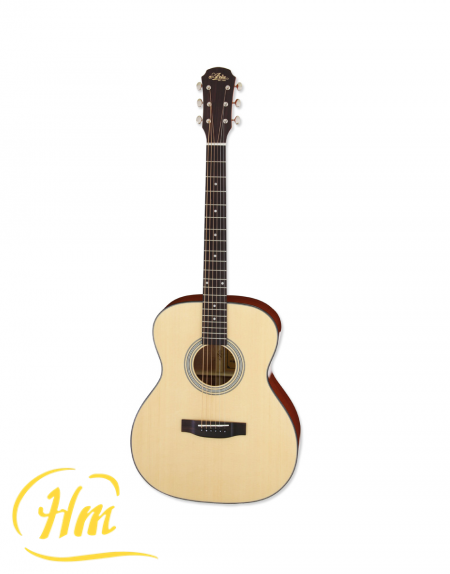 ARIA-201