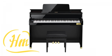 CASIO GP-500BP