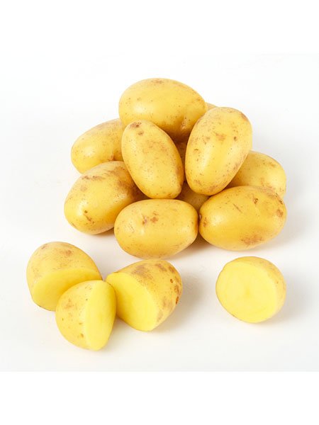 Potato (Small Size)