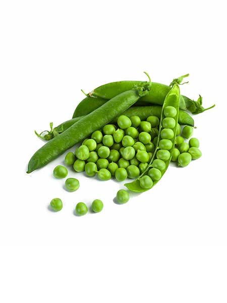 Green Pea Seeds