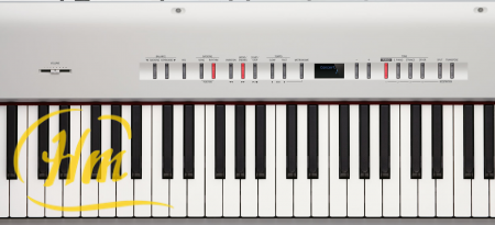 ROLAND FP-50