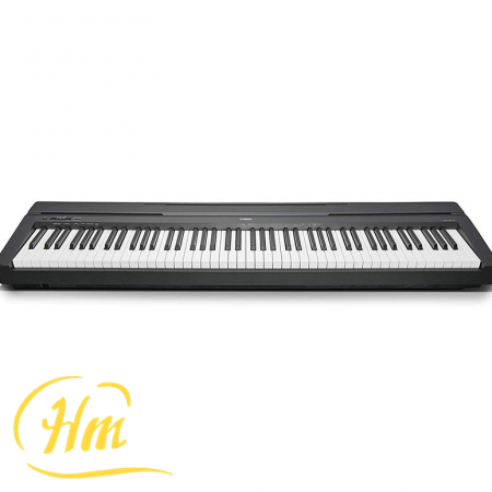 YAMAHA P-45B