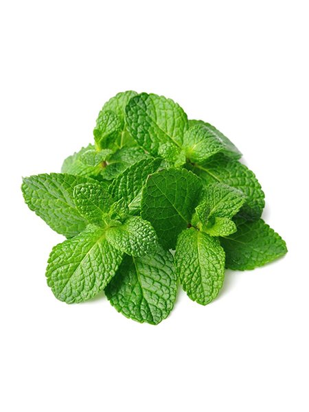 Mint Leaves
