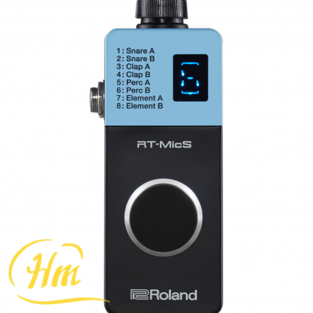 ROLAND RT-MicS
