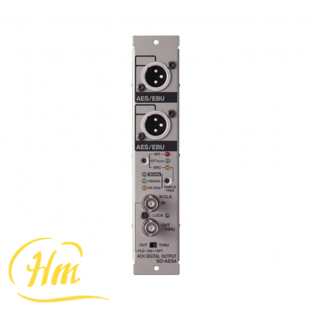 ROLAND SO-AES4