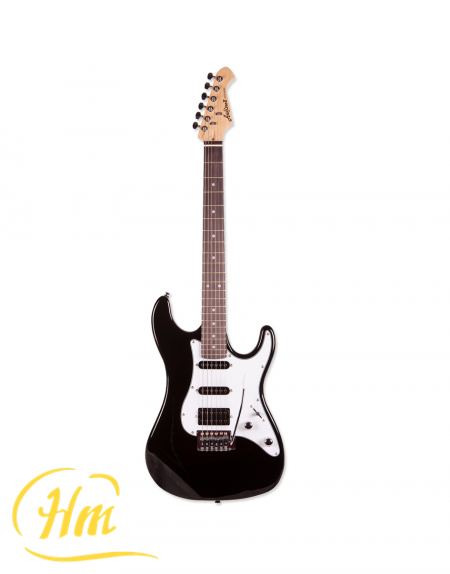 ARIA STG-STV
