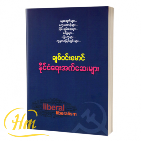 နိုင်ငံရေးအက်ဆေးများ