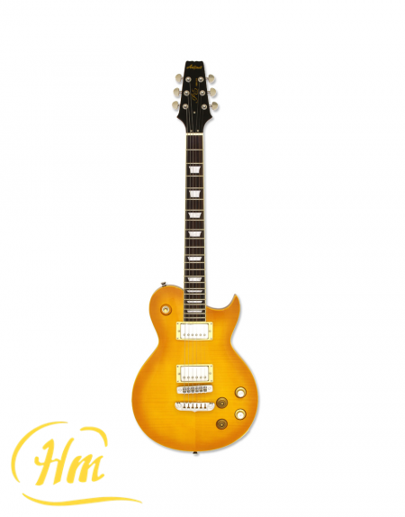 ARIA PE-350PG