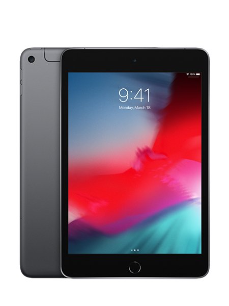 iPad mini 5 256GB Space Gray (4G- LTE)