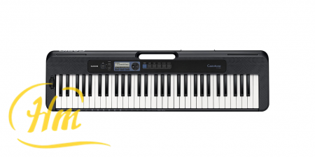 CASIO CASIOTONE CT-S300