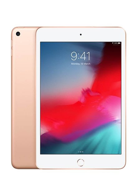 iPad mini 5 256GB Gold (4G- LTE)