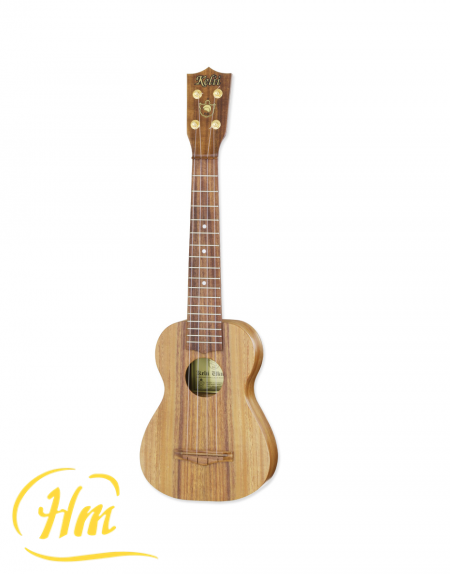 ARIA S-GLN/V -Soprano Long Neck-