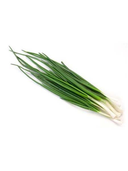 Spring Onion